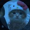 +mc+