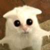 Gato triste ai avatar