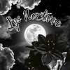 lys nocturne 