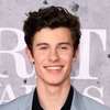Shawn Mendes  ai avatar