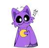 silly cat