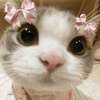 Yuki ai avatar