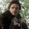 Avatar AI Robb stark