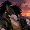 myro