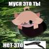 муся