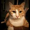 thomas