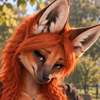 Amber Avatar AI