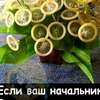Что-то AI аватар