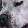 나나미 AI 아바타