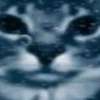 Immagine del profilo Avatar AI