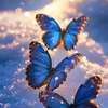 harmony