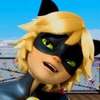 gatto nero Avatar AI