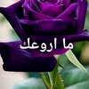 ليلى الزهيري الصورة الرمزية للذكاء الاصطناعي
