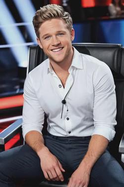 Flipped Chat AI – Chatta med Niall Horan