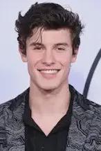 Flipped Chat AI – Chat cu Shawn Mendes 