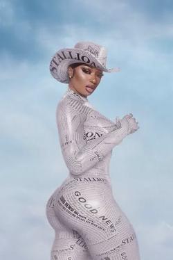 Omgedraaide chat AI – Chat met Megan thee stallion 