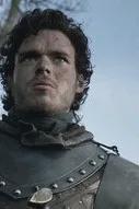 Flipped Chat AI – Chatta med Robb stark