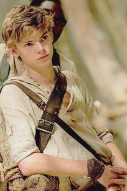 Flipped Chat AI – Bate-papo com Newt (maze runner)