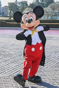 Flipped Chat AI – Discuter avec Mickey Mouse 