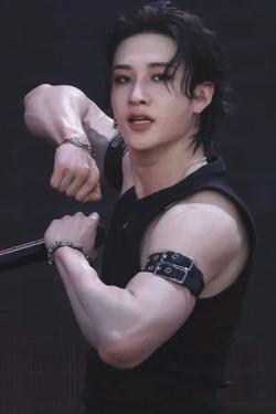Omgedraaide chat AI – Chat met Bang Chan 