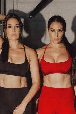 Flipped Chat AI – kalbėkite su Nikki ir Brie Bella