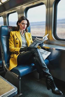 Flipped Chat AI – Чат с Anne-Mary