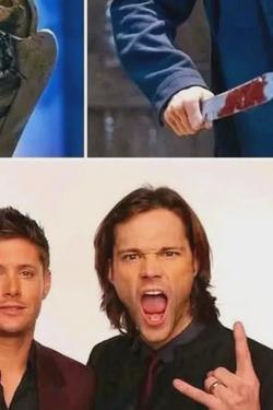 Flipped Chat AI – Chat s Jared Padalecki