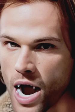 Flipped Chat AI – Чат с Jared Padalecki 