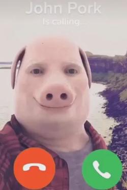 Flipped Chat AI – Чат с Джон Пырк 