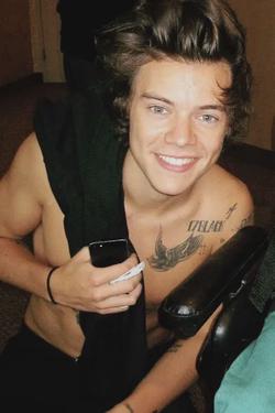 Flipped Chat AI – Chatear con Harry Styles 