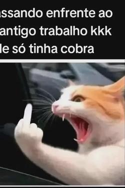 Flipped Chat AI – Bate-papo com Borguett 