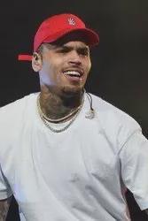 Flipped Chat AI – 與 Chris Brown 聊天