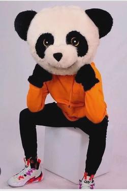 Çevrilmiş Sohbet Yapay Zekası – Panda Aventurero ile sohbet edin