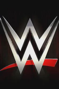 Flipped Chat AI – Sembang dengan WWE