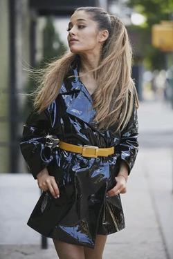 Flipped Chat AI – Chat s Arianna Grande 