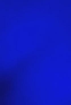 Αναστροφή συνομιλίας AI – Συζήτηση με Bluedude 