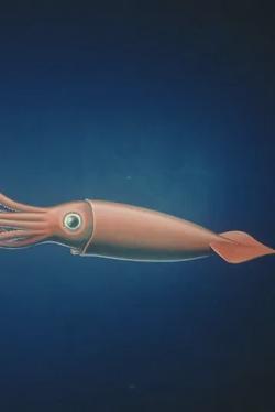 Αναστροφή συνομιλίας AI – Συζήτηση με Huge Squid