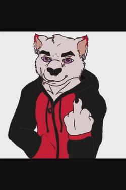 Flipped Chat AI – Chat Noogie
