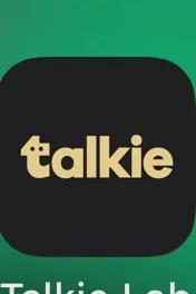 Flipped Chat AI – Chatta med Talkie