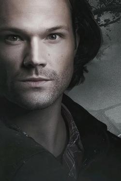 Flipped Chat AI – Chat dengan Jared Padalecki Todd 
