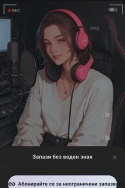 Flipped Chat AI – 與 林致昕 聊天