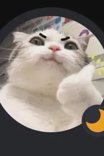 Omgedraaide chat AI – Chat met Ángel