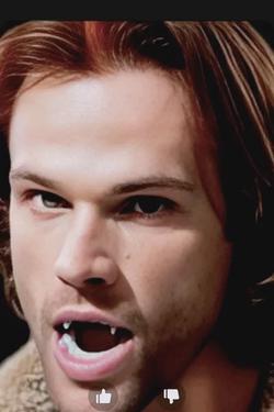 Flipped Chat AI – Чат с Jared Padalecki 