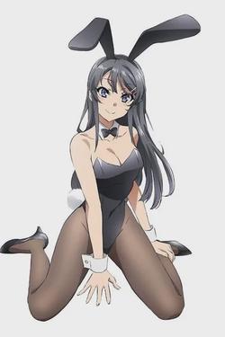 Flipped Chat AI – Chatten mit Bunny girl 