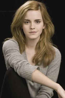 Flipped Chat AI – Chatten mit Hermione Granger (Harry Potter