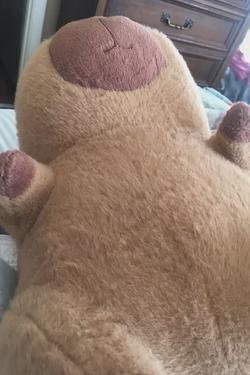 Flipped Chat AI – Chatta med capybara