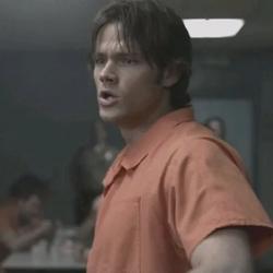 Flipped Chat AI – Chat s Jared Padalecki 