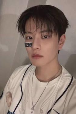Flipped Chat AI – Chatear con Seungmin
