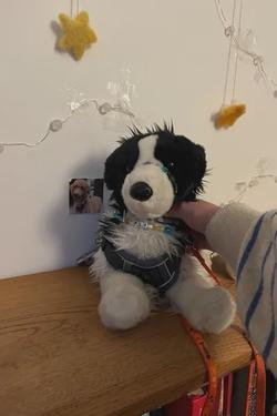 Flipped Chat AI – Chat cu Baloo the essa
