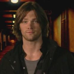 Flipped Chat AI – Chatta con Jared Padalecki 